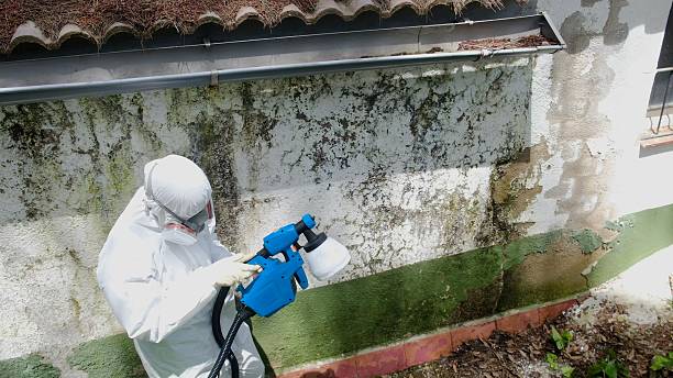 Mold Remediation service in Simpson, Simpson, NC
